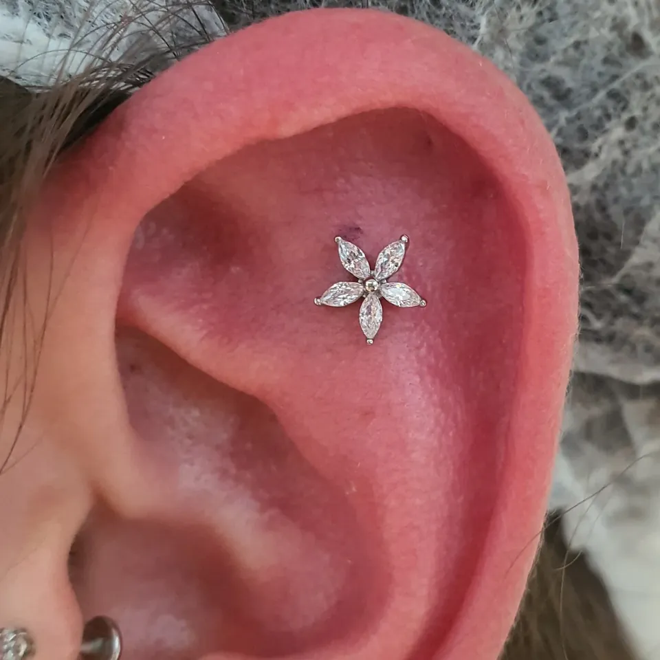 Conch floral em cristais